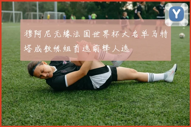 穆阿尼无缘法国世界杯大名单马特塔成教练组首选前锋人选