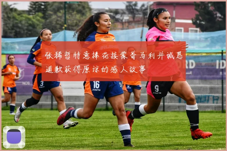 张稀哲特意捧花接蒙哥马利并诚恳道歉获得原谅的感人故事