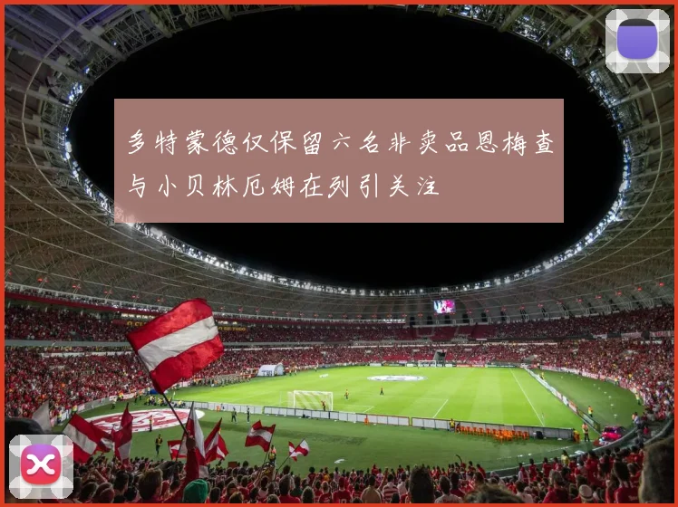 多特蒙德仅保留六名非卖品恩梅查与小贝林厄姆在列引关注