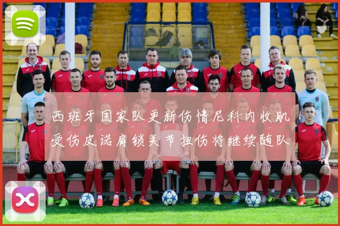 西班牙国家队更新伤情尼科内收肌受伤皮诺肩锁关节扭伤将继续随队训练