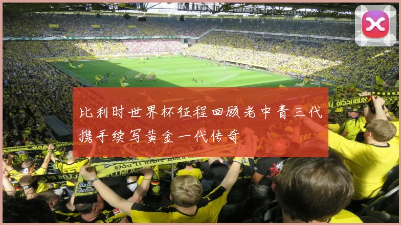 比利时世界杯征程回顾老中青三代携手续写黄金一代传奇