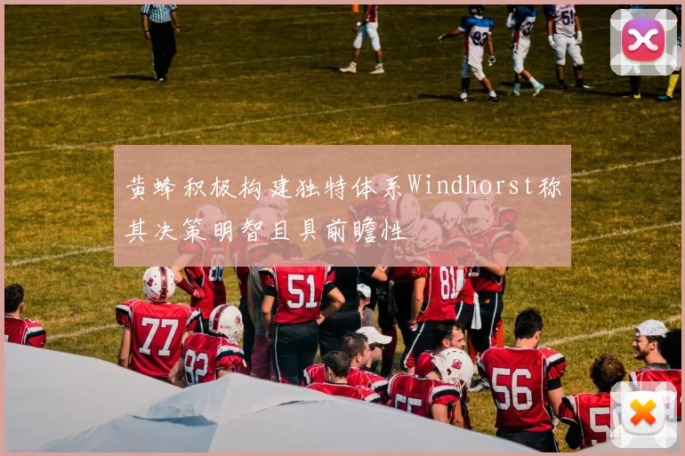 黄蜂积极构建独特体系Windhorst称其决策明智且具前瞻性
